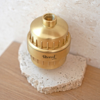 Filtered Beauty Shower Purifier